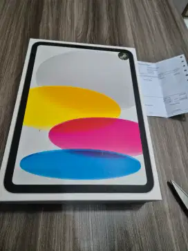 Apple Ipad gen 10