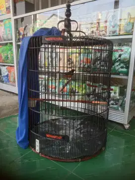 Kandang murai no 3 fulset krodong oriq jaya tebal 350 RB pondok aren