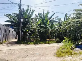 Dijual tanah murah strategis pinggir jalan desa