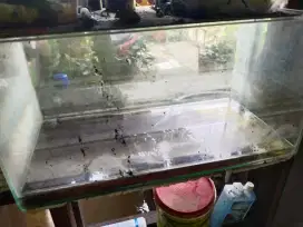 Ikan plus aquariumnya