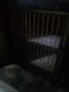 Jual kandang kucing.