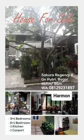 Rumah di kawasan elite sakura regency 2 .