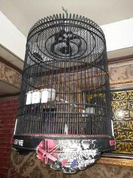 Jual kandang burung murai