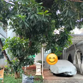 Dijual cepat rumah siap huni di kota wisata Cibubur