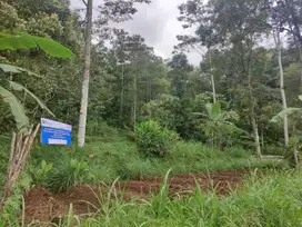 Aset BTN Solo Tanah Pertanian di Karangpandan - Karanganyar