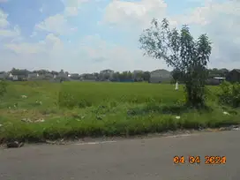 Aset BTN Solo Tanah Sawah di Jati - Karanganyar