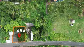 Strategic Investment in Kedungu Next to Ciputra Resort