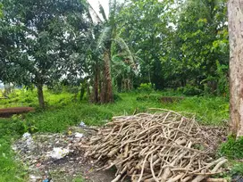 Aset BTN Solo Tanah Pekarangan di Teter Simo - Boyolali