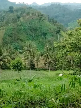 Tanah Wisata Investasi Jabung Pakis Malang