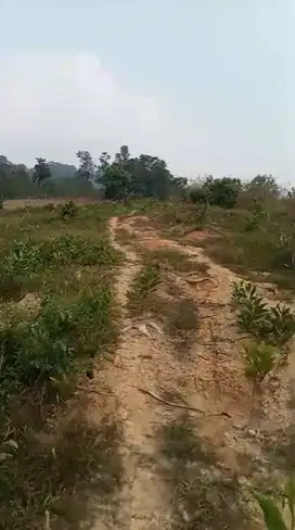 Dijual Tanah Murah Harga Nego Di Sukaresmi Sukamakmur Bogor