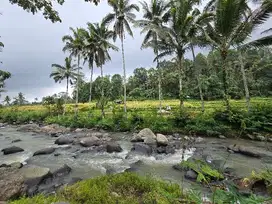 dijual tanah los sungai cantik di tabanan bali