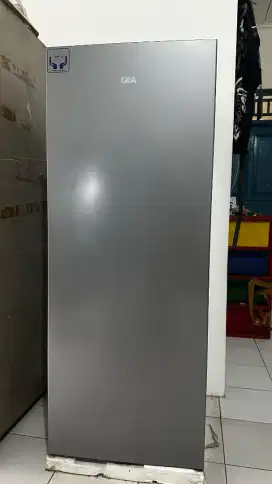 Standing Freezer Gea
