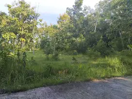 Tanah pekarangan 379m2 dekat samsat, kampus untuk kos kos an