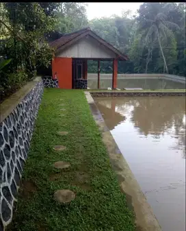 Dijual Balong Untuk Usaha Ikan Air Tawar atau Villa di Darangdan