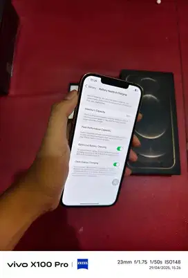 iPhone 12 Pro Max 256gb Garansi iBox