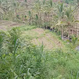 Di jual tanah dengan view sawah terassering dan sungai
