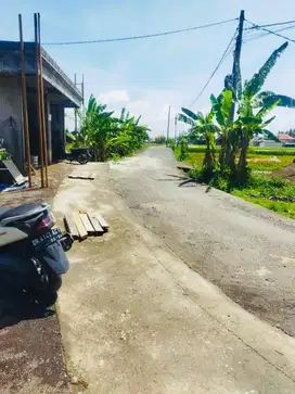 Tanah Los Sungai Cemagi Mengwi Badung