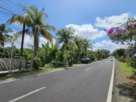 DIJUAL / DILELANG TANAH KOSONG DI TABANAN BALI