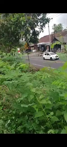 Jual Tanah di jalur utama Dps Gilimanuk Strategis