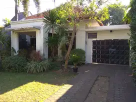 Rumah Pusat Kota Nias Surabaya 11x52meter cocok cafe,kantor,klinik
