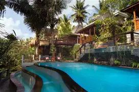 Brand new joglo villa with beautiful jungle view