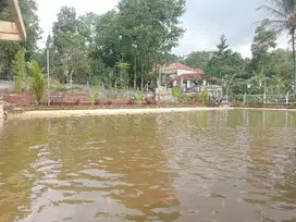 VILLA DI KAWASAN WISATA BISA DISEWAKAN UNTUK BANYAK ACARA