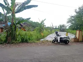 Dijual Tanah Luas dan Murah, Area Strategis di Tlogoadi, Mlati, Sleman