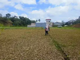 Tanah 250 M2 SHM Di Megamendung Bogor Dekat Exit Tol