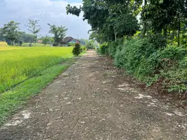 Dijual tanah View Hamparan Sawah Mojogedang Karanganyar