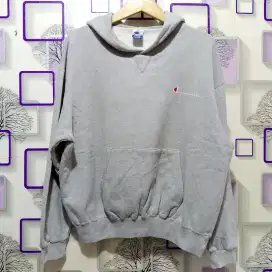 Hoodie champion