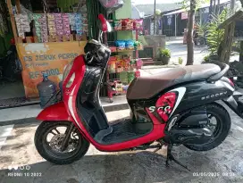 Honda scoopy donat fi iss 2022