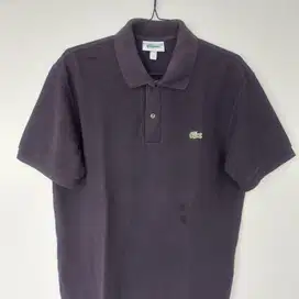 lacoste preloved man