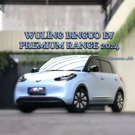 WULING BINGUO EV PREMIUM RANGE 410km AC/DC