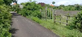 dijual tanah murah lokasi jalan mundeh kutuh kuta