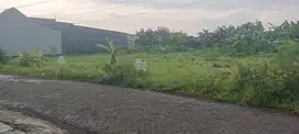 Tanah Kavling Sidoarjo Murah