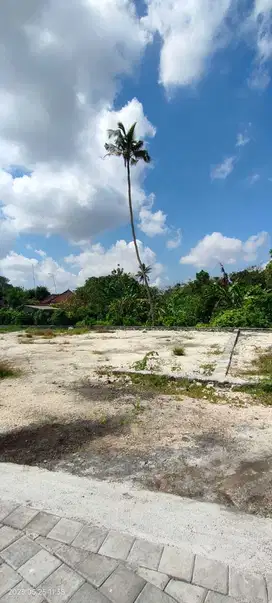 PREMIUM LAND IN BERAWA CANGGU BALI READY TO BUILD