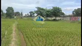 Jual Tanah di Desa Babat - Tangerang, Banten