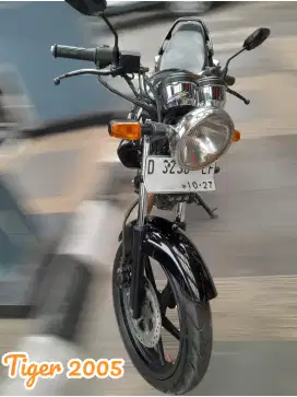 Honda Tiger 2005