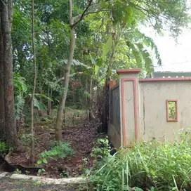 TANAH DIJUAL EKS PETERNAKAN AYAM DI CIREBON