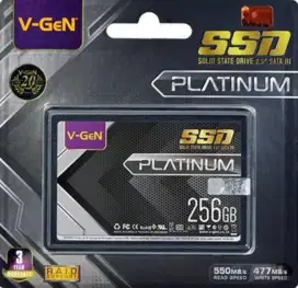 Vgen SSD data 256GB