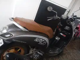 Honda Scoopy stylo 2017