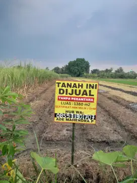 Di jual Tanah SHM