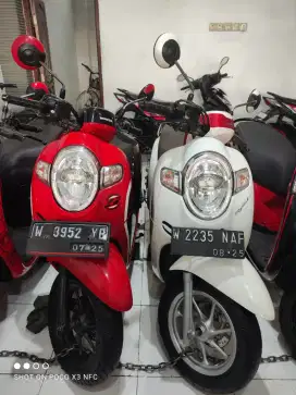 Ready scoopy eco