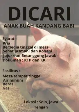Dicari Pegawai Kandang