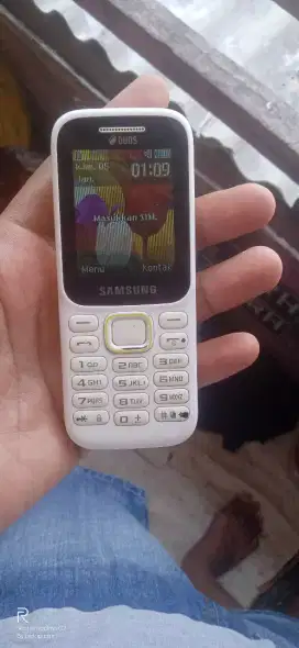 Samsung b310e Samsung guru 2