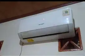 AC Sharp 1/2 pk A5ucy