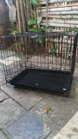 Kadang kucing lipat