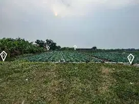 Jual Tanah 4.829 m² di Karawang Timur – Murah & Strategis