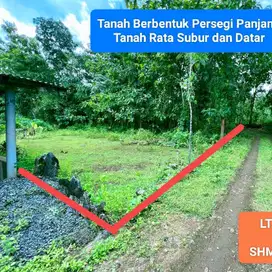 Dijual tanah murah dekat kota wonosari di bejiharjo Gunungkidul