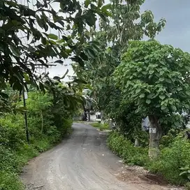 LAHAN BUC & MURAH DI KAWASAN VILLA UNGASAN, BALI